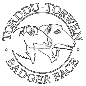Goodtrees Farm are Members of the Badger Face Welsh Mountain Sheep Society