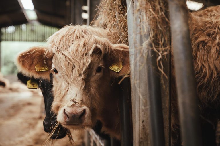 Goodtrees Farm Butchers Cowden Edenbridge Kent East Sussex